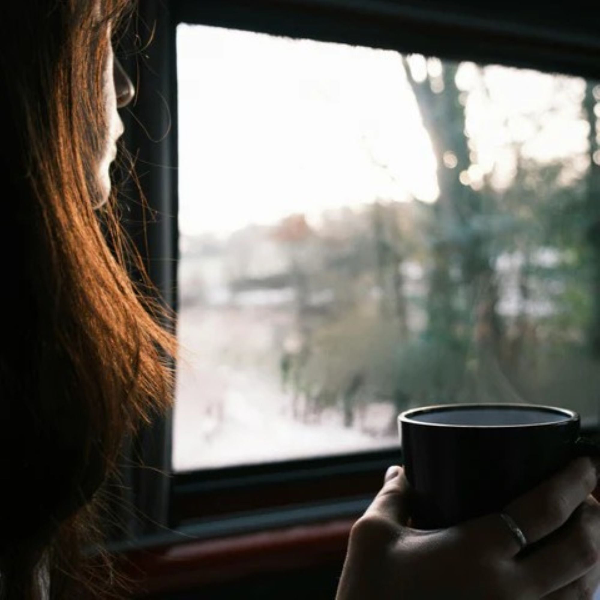 Finding Stillness in a Noisy World