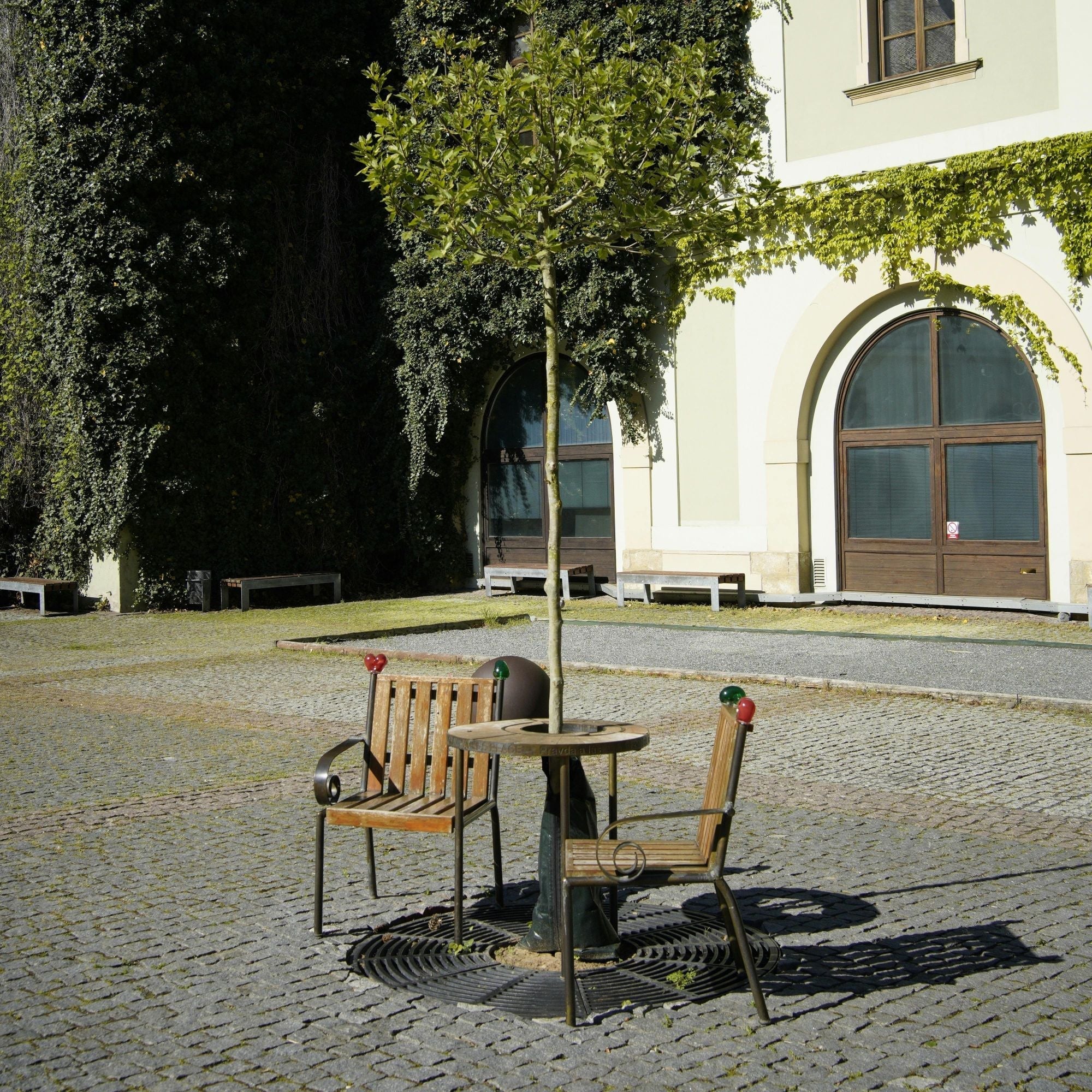 The Comfort of Being Understood Without Explaining