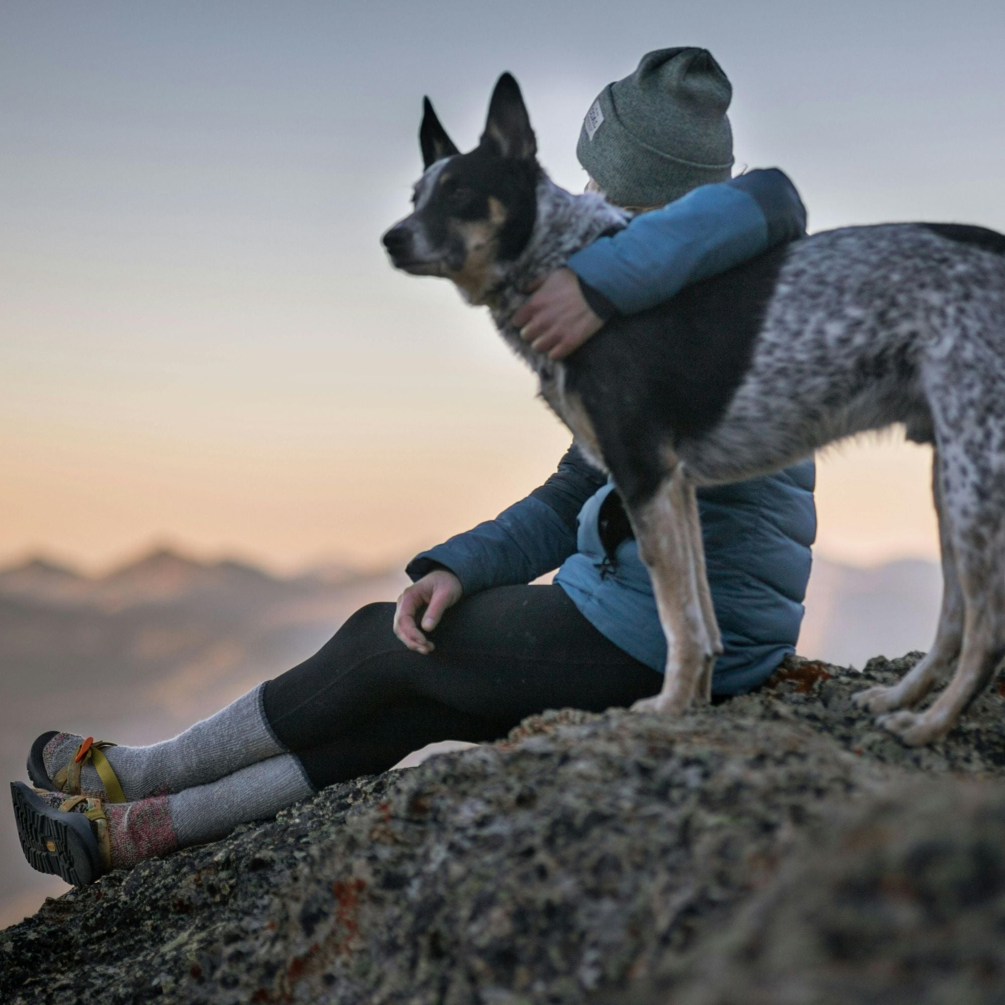 The Quiet Healing of Animals